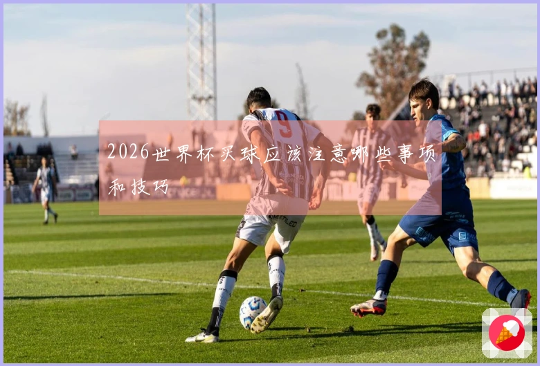 2026世界杯买球应该注意哪些事项和技巧
