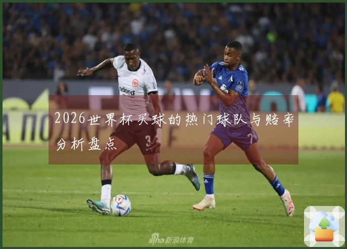 2026世界杯买球的热门球队与赔率分析盘点