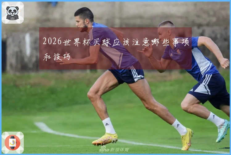 2026世界杯买球应该注意哪些事项和技巧